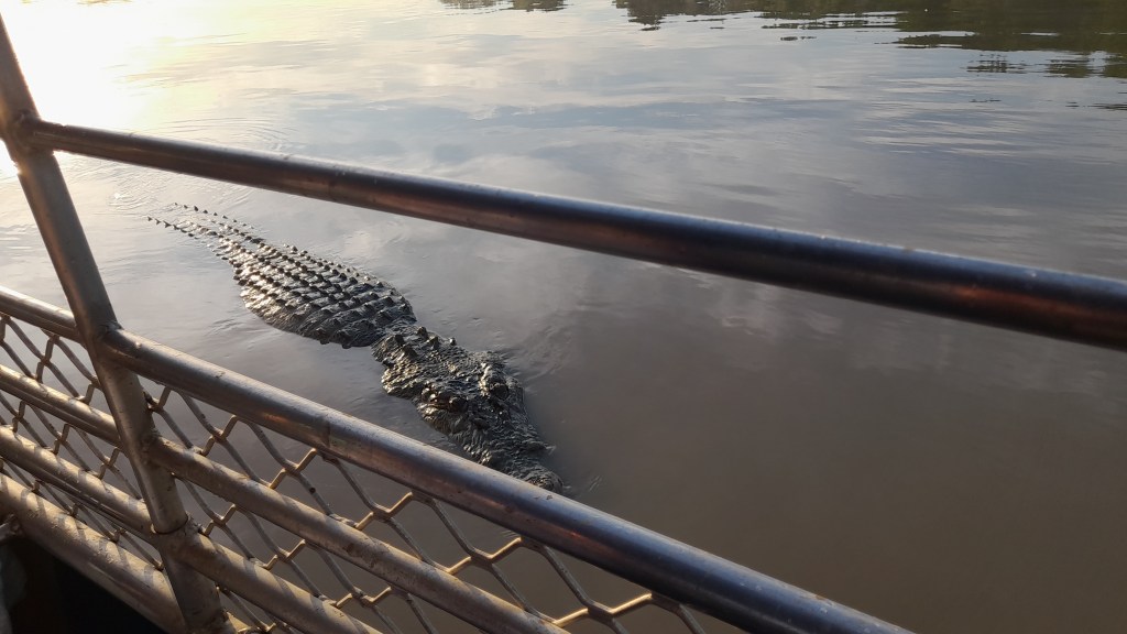 Adelaide River Jumping Crocodile Cruise | solo travel&nbsp;Australia